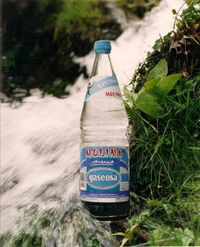 Gaseosa Molina